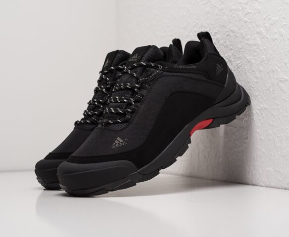 Adidas Terrex AX2 leather black