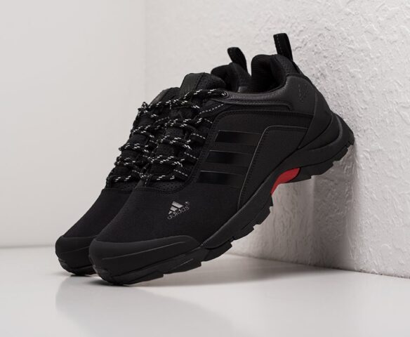 Adidas Terrex AX2 low черные