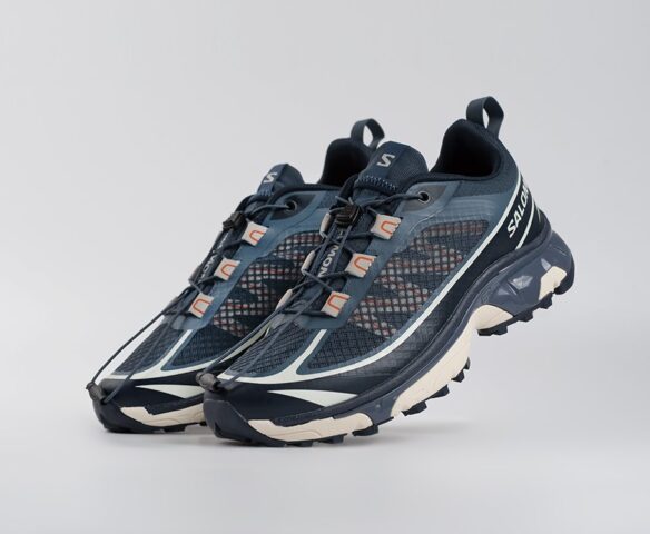 Salomon ADVANCED XT-6 ADV синие 44646