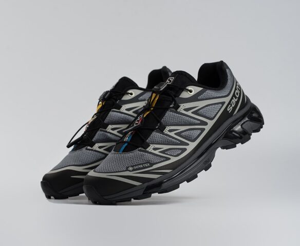Salomon ADVANCED XT-6 ADV серые 44590