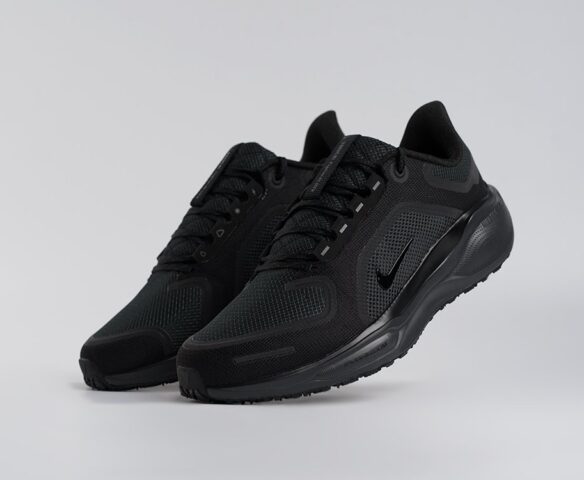 Nike Air Zoom Pegasus 41 черные 44769