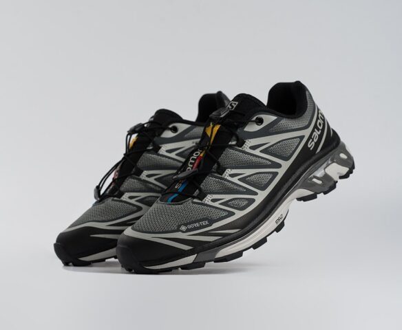 Salomon ADVANCED XT-6 ADV серые 44591