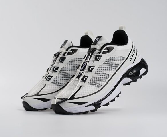 Salomon ADVANCED XT-6 ADV белые 44649