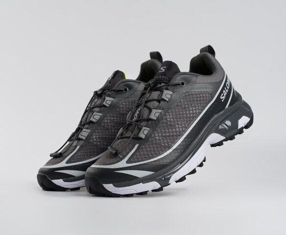 Salomon ADVANCED XT-6 ADV серые 44645